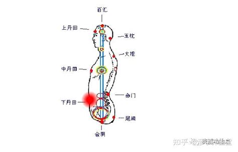 大周天口訣|大小周天运行图及解释打通大周天最简单的方法